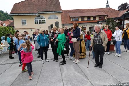 Čebela velikanka potuje po Kamniku (26)